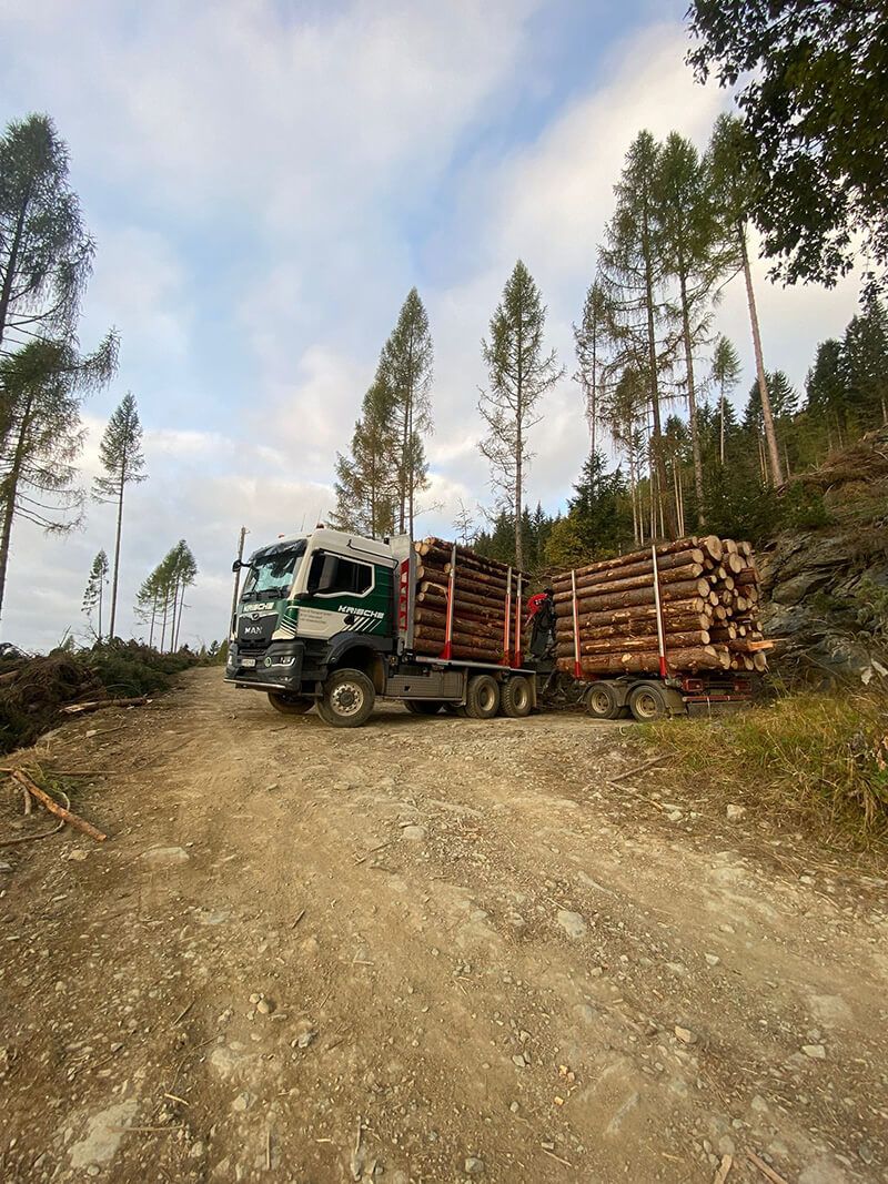 Krische Transporte Holzlager